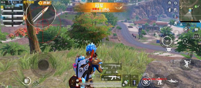 和平精英辅助真的吗（和平精英辅助真的有吗）